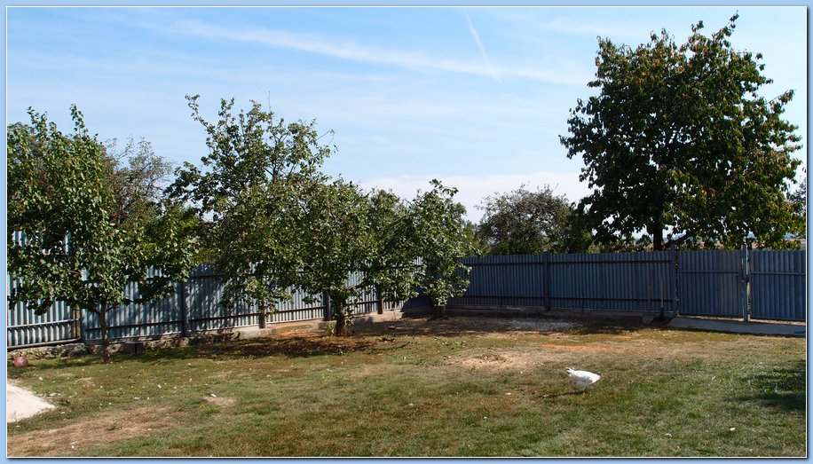 2012-09-13-p09